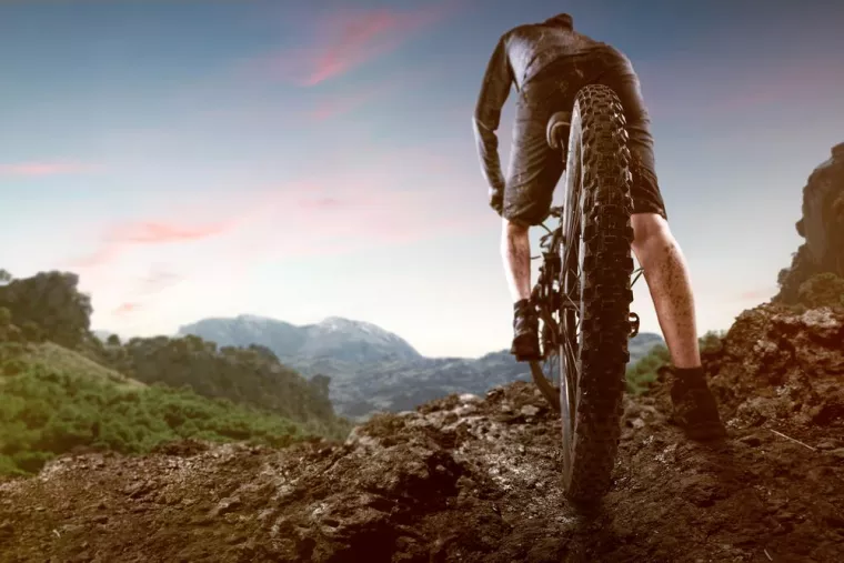 Comment choisir la bonne taille de VTT DH en location ?, La Possession, MTB LEBEAU